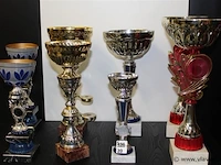 Trofee - afbeelding 1 van  2