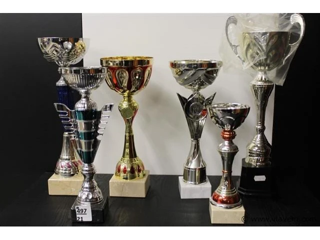 Trofee - afbeelding 1 van  2