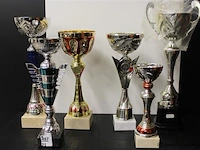 Trofee - afbeelding 1 van  2