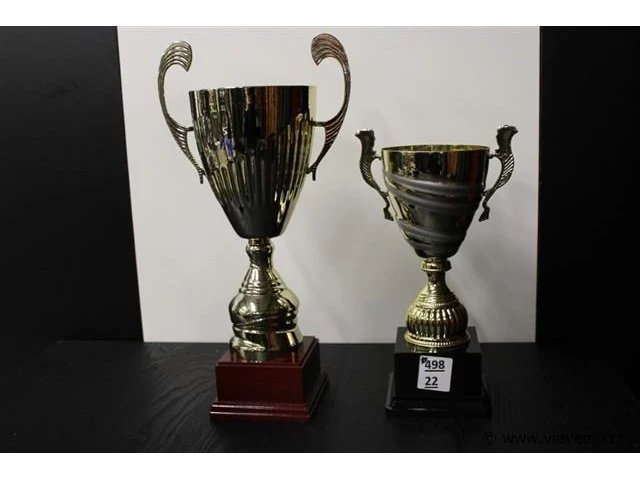 Trofee - afbeelding 1 van  2