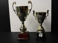 Trofee - afbeelding 1 van  2