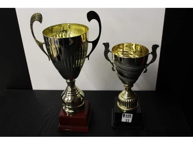 Trofee - afbeelding 2 van  2