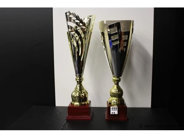 Trofee - afbeelding 1 van  2