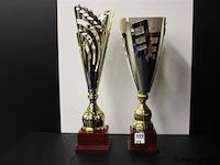 Trofee - afbeelding 1 van  2