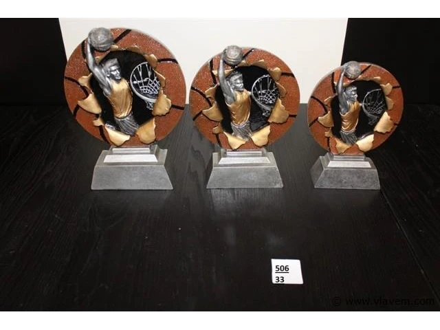 Trofee - afbeelding 1 van  1
