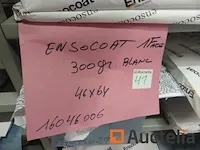Trucart - invercote-ensocoat - afbeelding 9 van  9