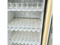 True gdm-19t frisdranken koelvitrine - afbeelding 9 van  11