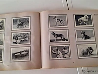 Trumpf album a - afbeelding 4 van  7