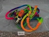 Tuig met lijn rainbow - afbeelding 1 van  2