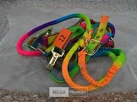 Tuig met lijn rainbow - afbeelding 2 van  2