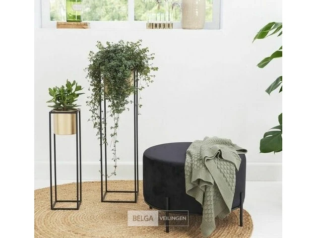 Tuin & gereedschappen - hasselt
