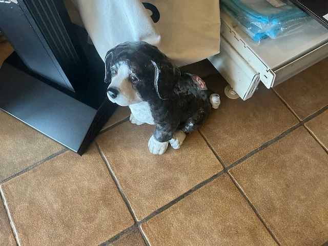 Tuin & terras - afbeelding 6 van  16