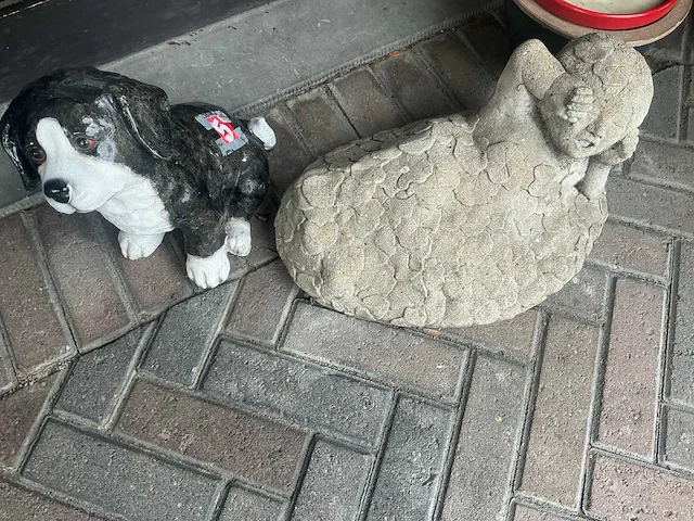 Tuin & terras - afbeelding 7 van  16