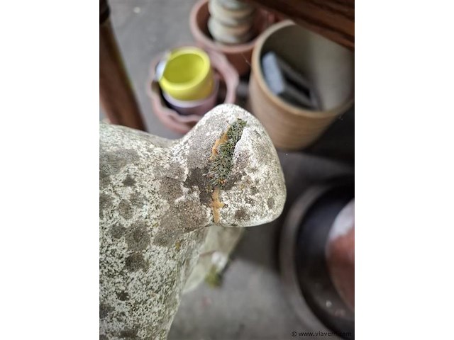 Tuinbeeld windhond - afbeelding 3 van  3