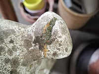 Tuinbeeld windhond - afbeelding 3 van  3