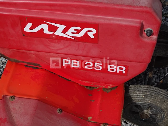 Tuinfrees lazer pb 25 br - afbeelding 3 van  17
