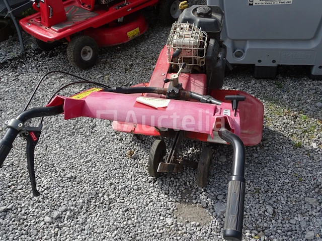 Tuinfrees lazer pb 25 br - afbeelding 4 van  17