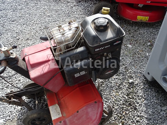 Tuinfrees lazer pb 25 br - afbeelding 6 van  17
