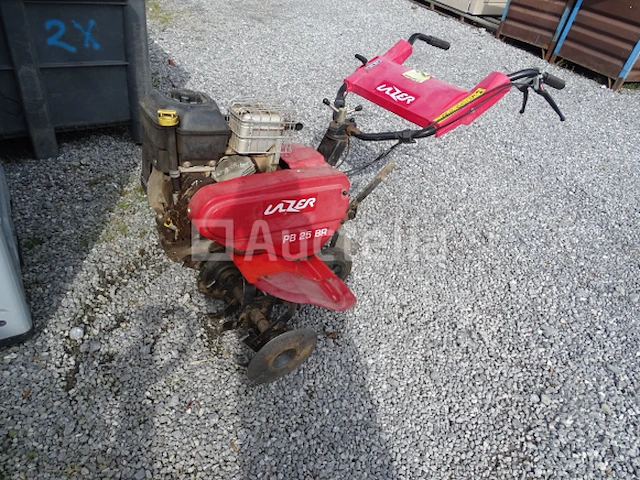 Tuinfrees lazer pb 25 br - afbeelding 1 van  17