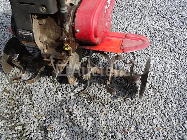 Tuinfrees lazer pb 25 br - afbeelding 10 van  17