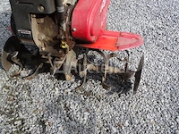 Tuinfrees lazer pb 25 br - afbeelding 10 van  17