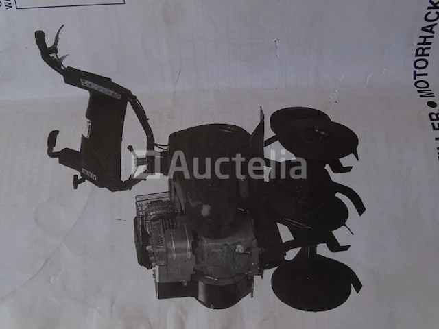 Tuinfrees lazer pb 25 br - afbeelding 16 van  17