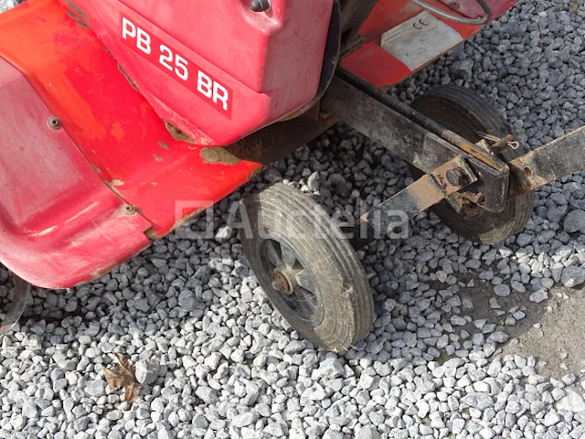 Tuinfrees lazer pb 25 br - afbeelding 17 van  17