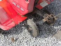 Tuinfrees lazer pb 25 br - afbeelding 17 van  17