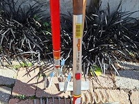 Tuingereedschap wolf garden - afbeelding 2 van  3