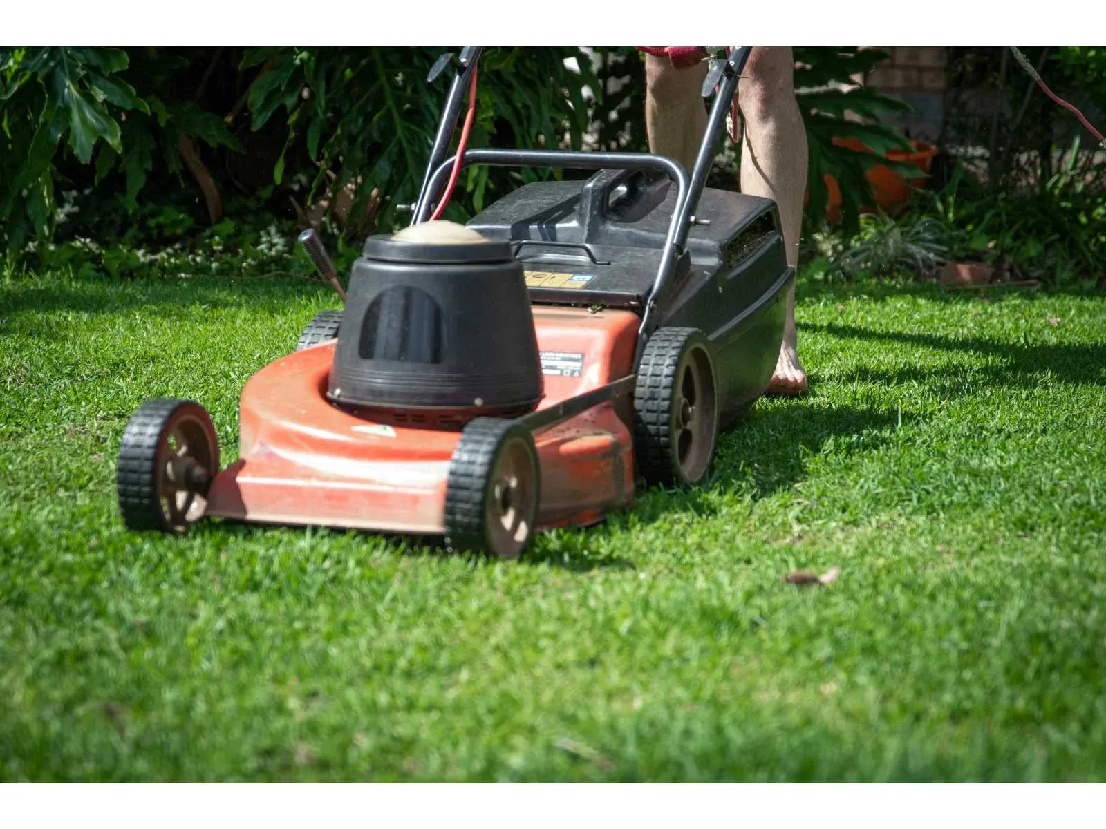 Tuinmachines, inrichting, bomen en planten