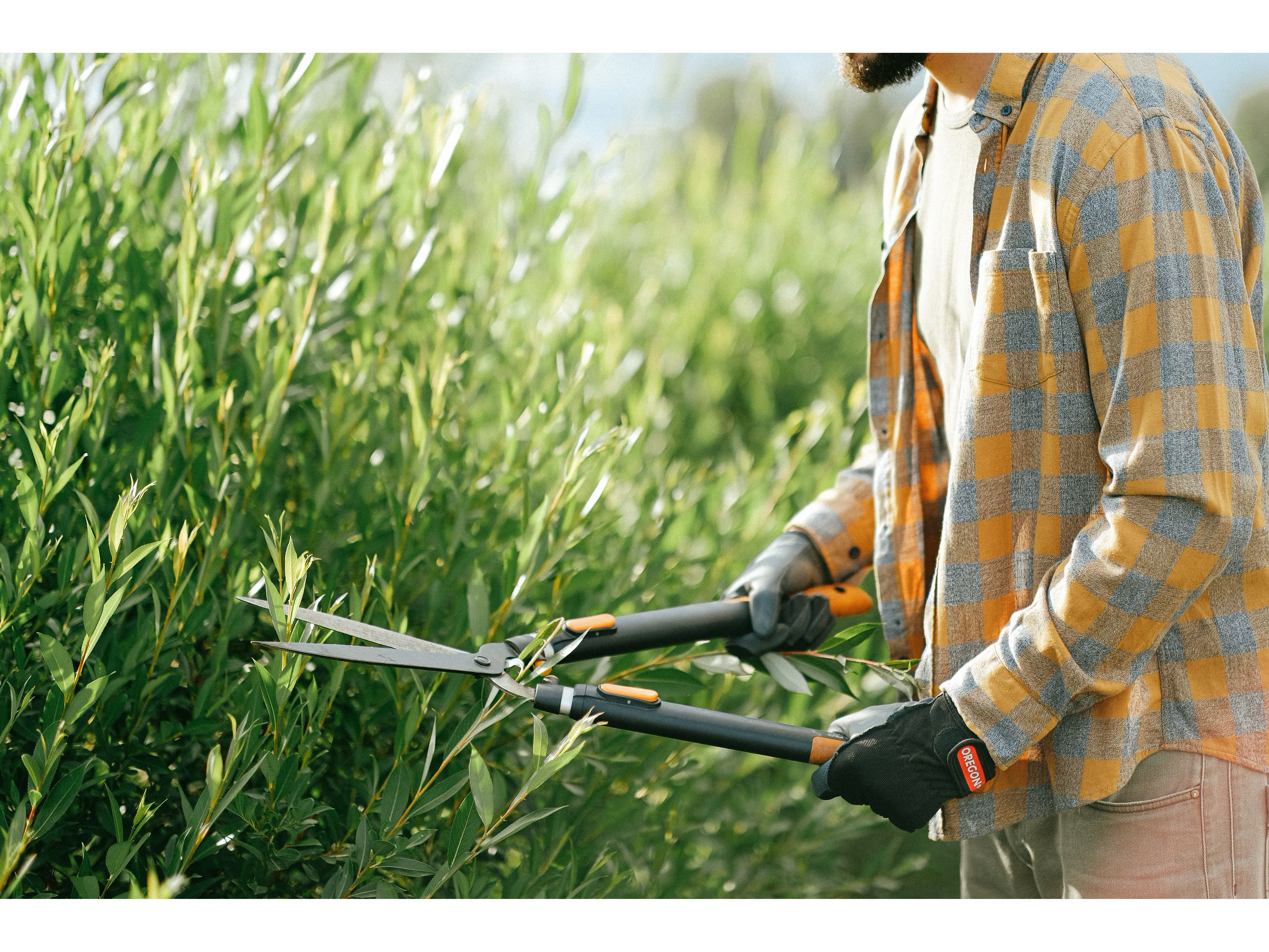 Tuinmachines, inrichting, hekwerk, bomen en planten