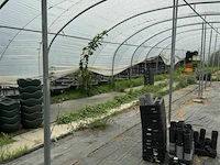 Tunnelserre - afbeelding 3 van  4