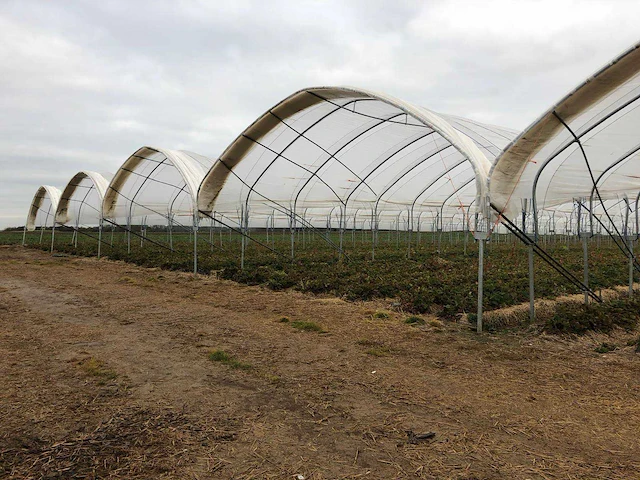 Tunnelsysteem 5000m2 - afbeelding 10 van  11