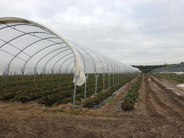 Tunnelsysteem 5000m2 - afbeelding 1 van  11