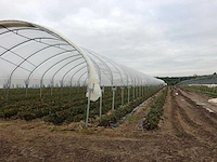 Tunnelsysteem 5000m2 - afbeelding 1 van  11