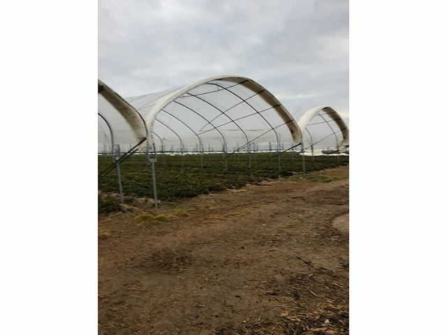 Tunnelsysteem 5000m2 - afbeelding 2 van  11