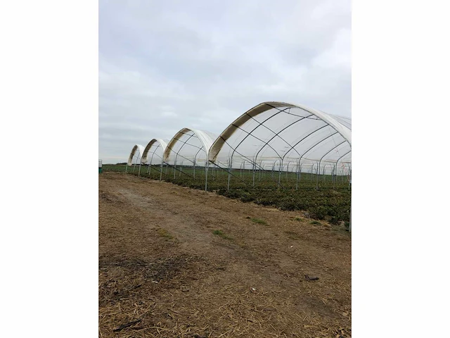 Tunnelsysteem 5000m2 - afbeelding 3 van  11