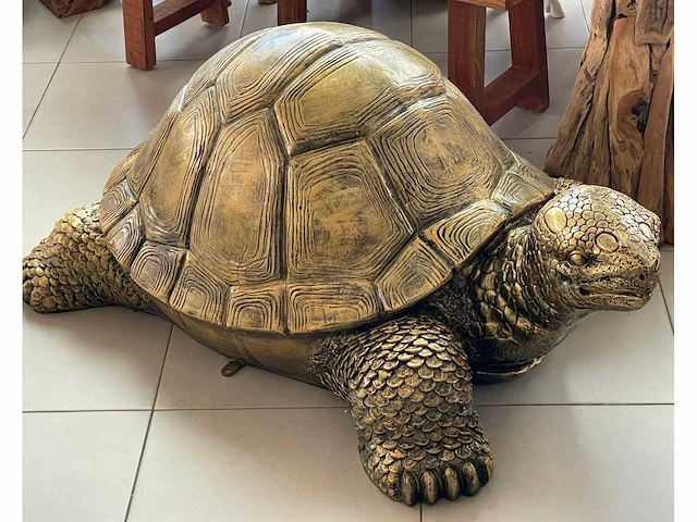 Turtle / schildpad l130cm gold - afbeelding 1 van  1