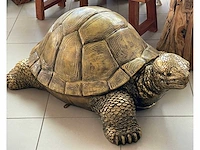 Turtle / schildpad l130cm gold - afbeelding 1 van  1