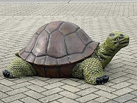 Turtle / schildpad l130cm original - afbeelding 1 van  1