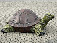 Turtle / schildpad l130cm original - afbeelding 1 van  1