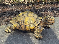 Turtle / schildpad l40cm gold - afbeelding 1 van  1