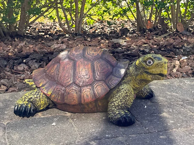 Turtle / schildpad l40cm original - afbeelding 1 van  1