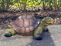 Turtle / schildpad l40cm original - afbeelding 1 van  1
