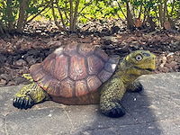 Turtle / schildpad l40cm original - afbeelding 1 van  1