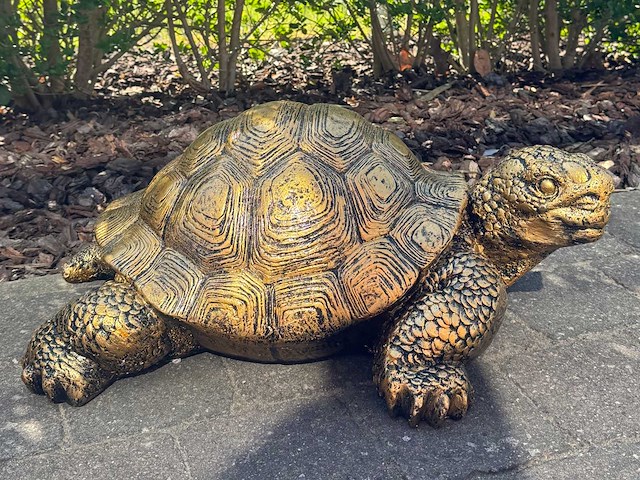 Turtle / schildpad l60cm gold - afbeelding 1 van  1