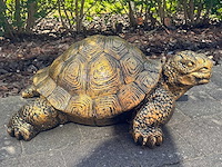 Turtle / schildpad l60cm gold - afbeelding 1 van  1