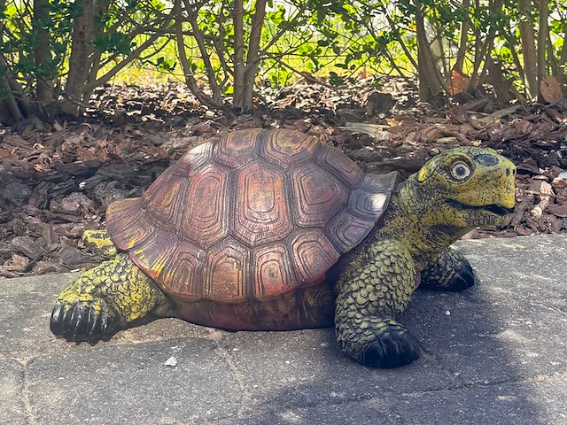 Turtle / schildpad l60cm original - afbeelding 1 van  1