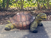 Turtle / schildpad l60cm original - afbeelding 1 van  1