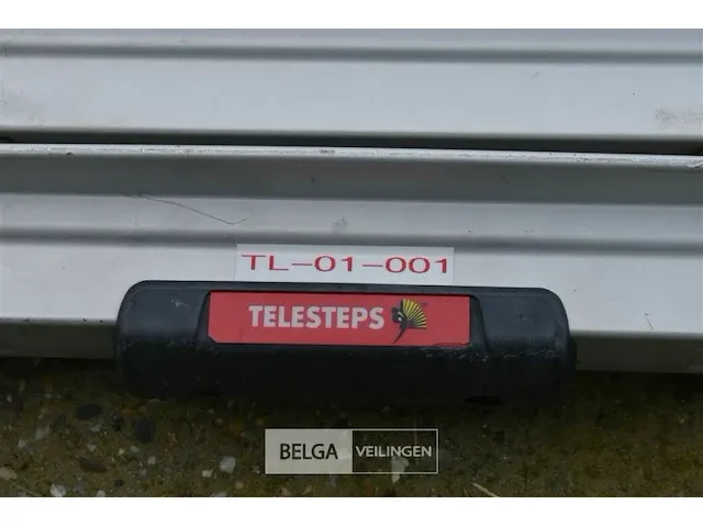 Uitschuifbare ladder - afbeelding 4 van  4